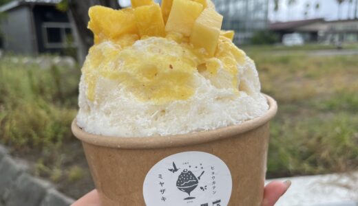 宮崎氷果店｜口コミとともに知る美味しいスイーツ全貌／宮崎市内青島