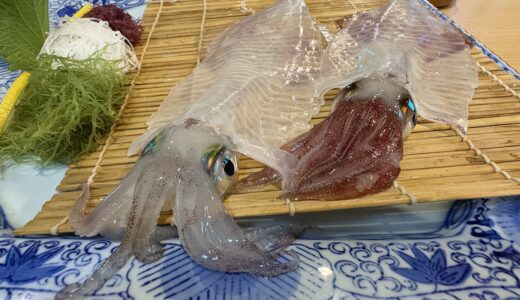 呼子萬坊｜呼子大橋近くの海中席で味わう贅沢な海鮮体験記／佐賀唐津